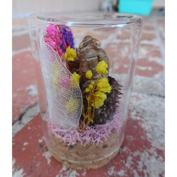 Cicada Skin in Pinecone Nature Art Oddity Jar flower goth curiosity taxidermy - Picture 5 of 10